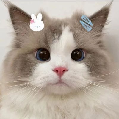 علی رضا avatar